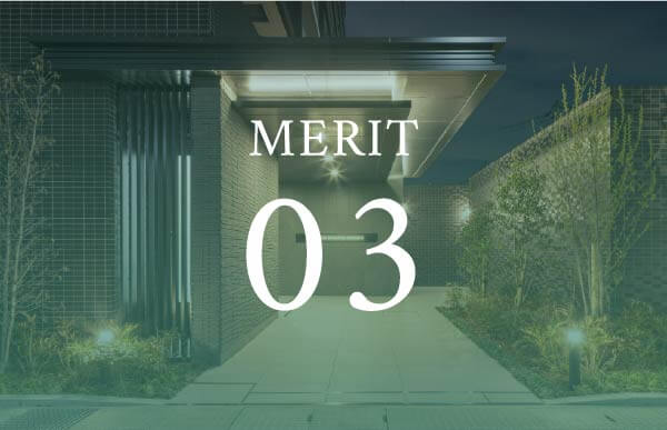 Merit 03