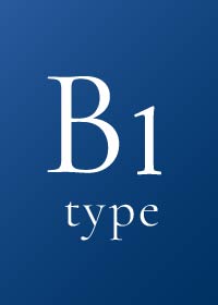 B1 type